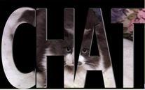 chat